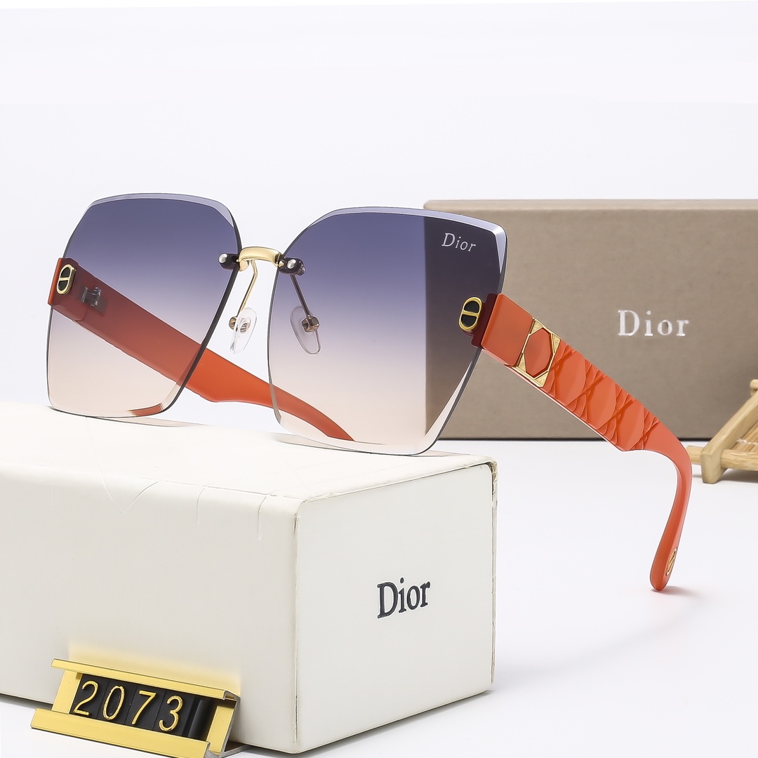 Dior Basic Glasses