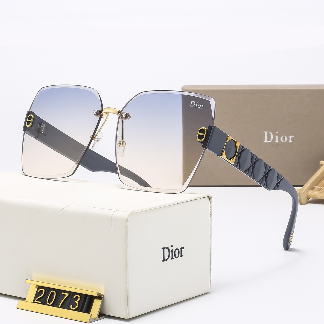 Dior Basic Glasses