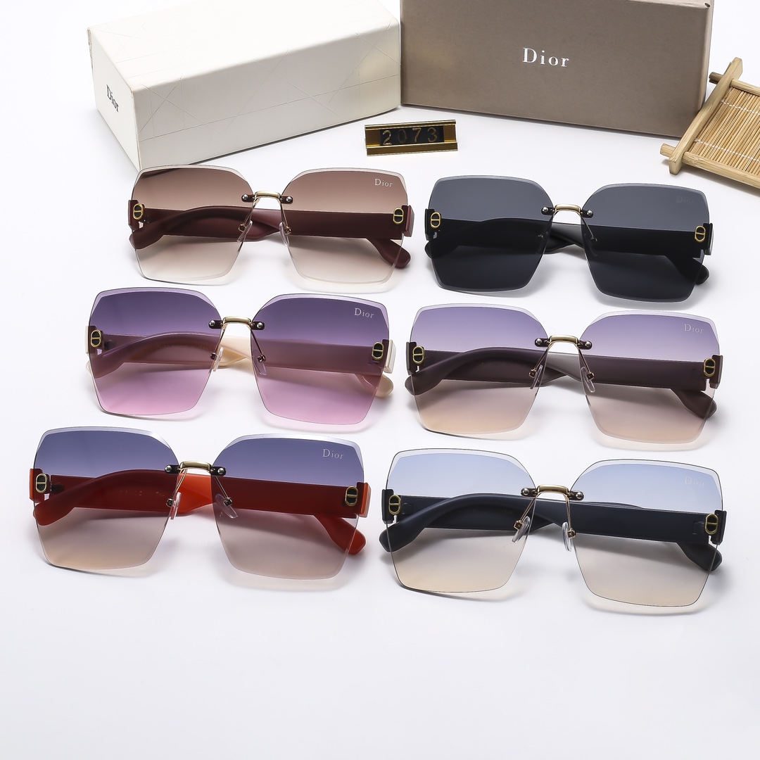 Dior Basic Glasses