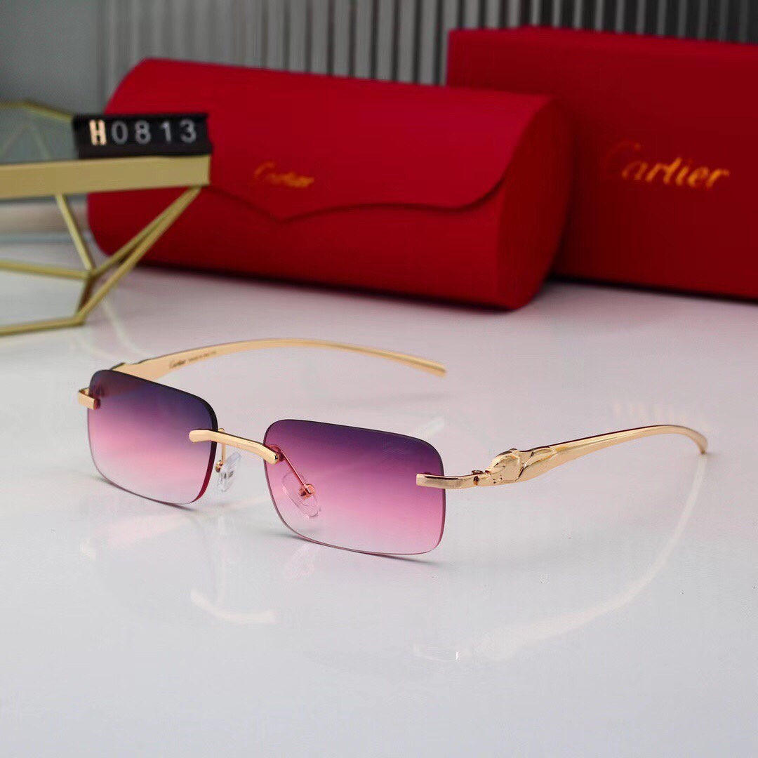 Cartier Basic Glasses