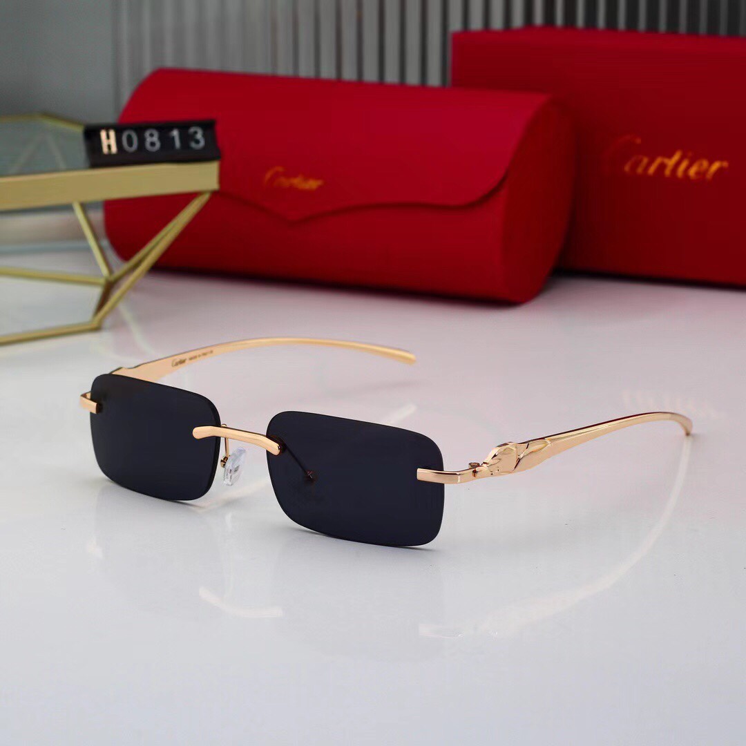 Cartier Basic Glasses