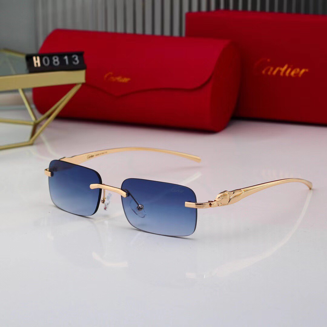 Cartier Basic Glasses