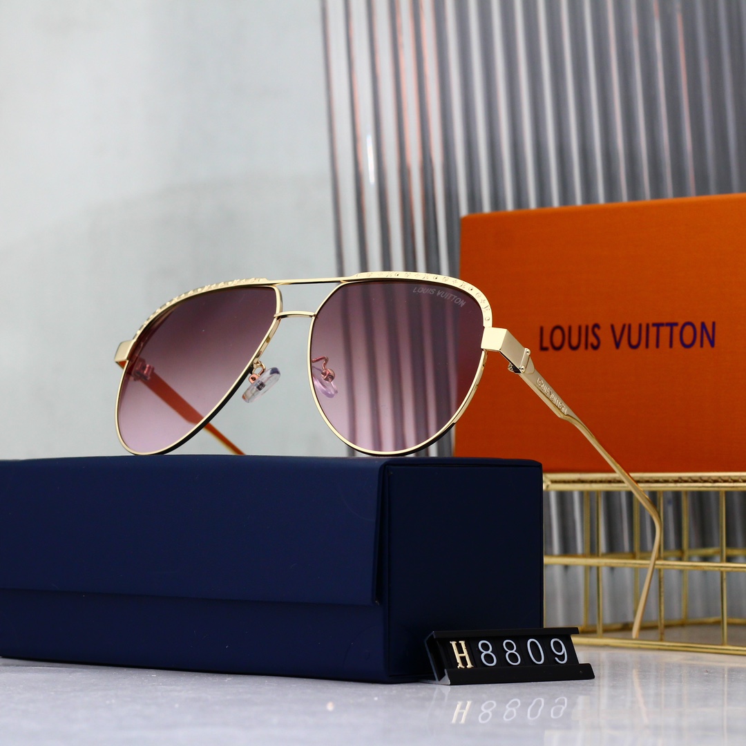 Louis Vuitton Basic Glasses L