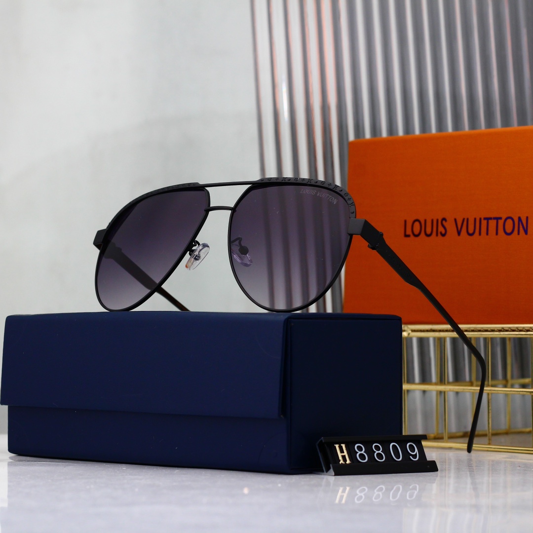 Louis Vuitton Basic Glasses L