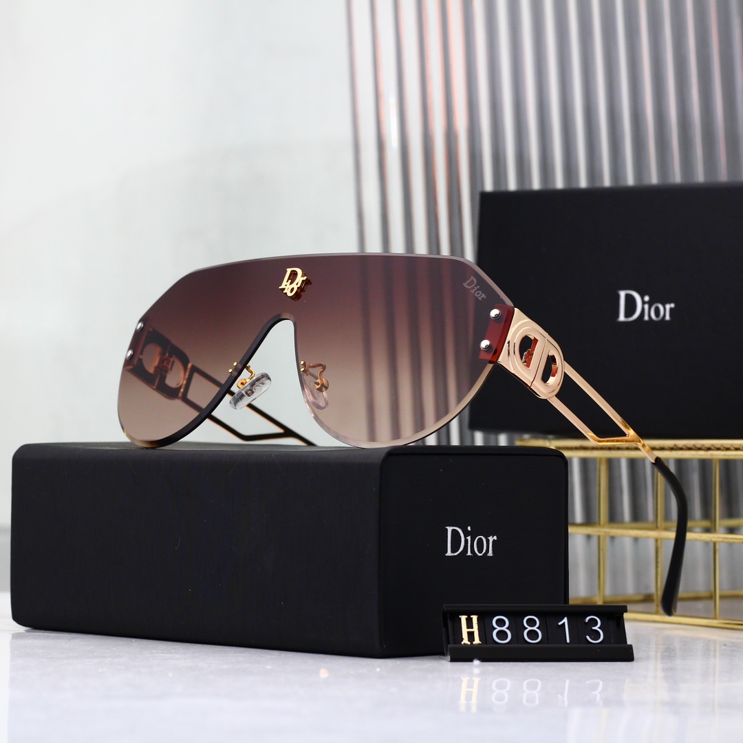 Dior Basic Glasses