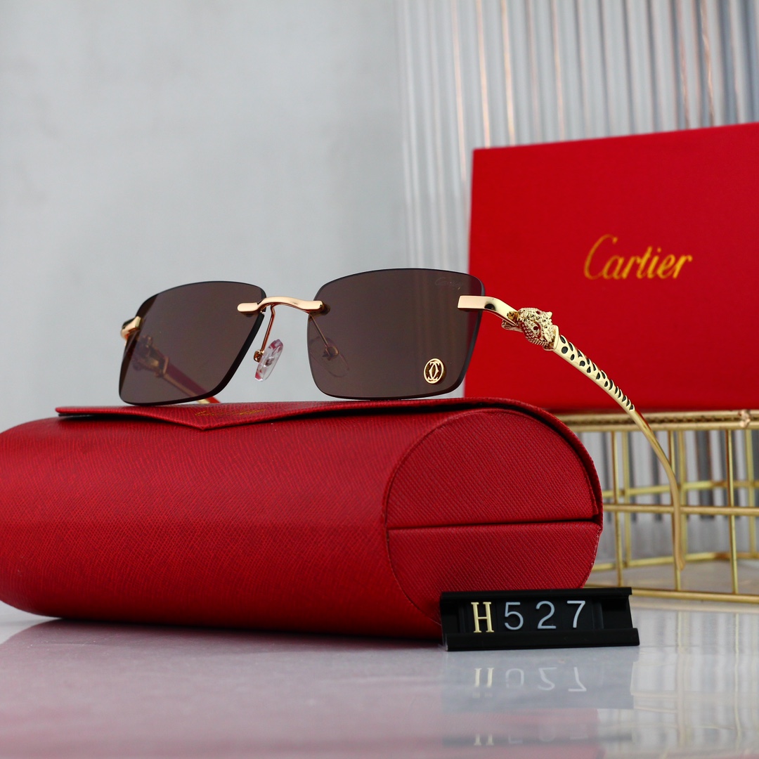 Cartier Basic Glasses