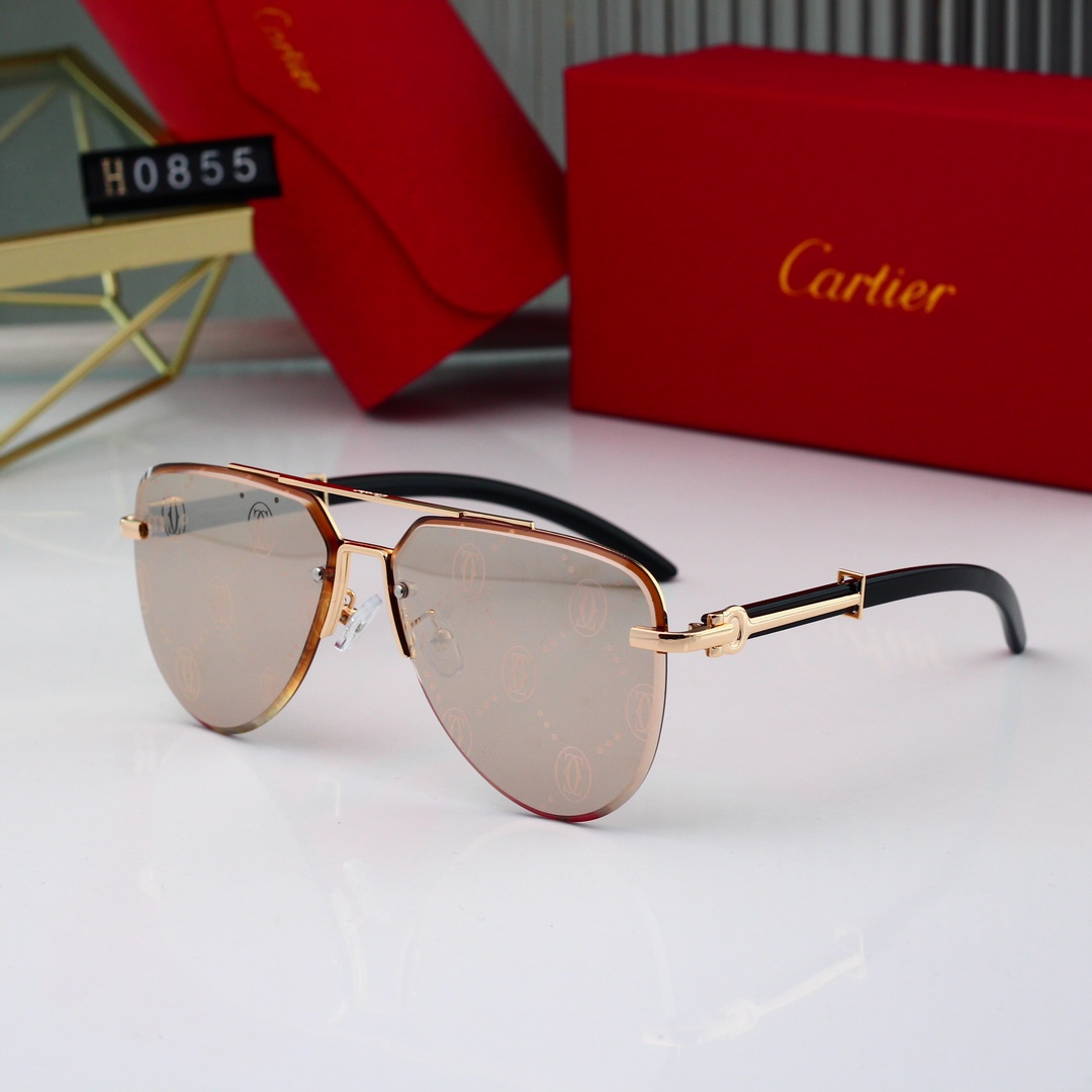 Cartier Basic Glasses