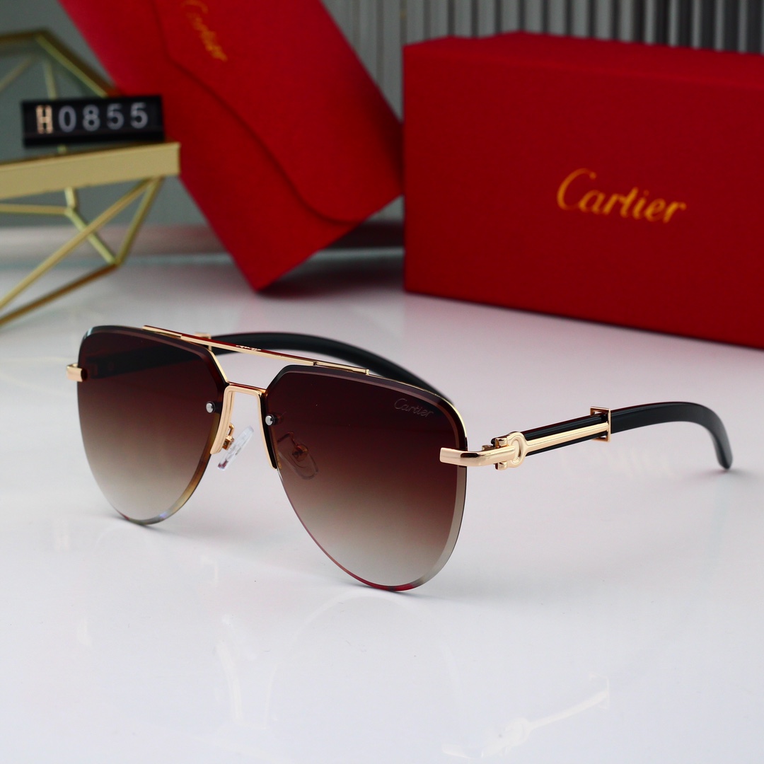 Cartier Basic Glasses