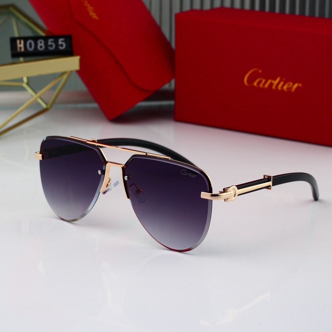 Cartier Basic Glasses