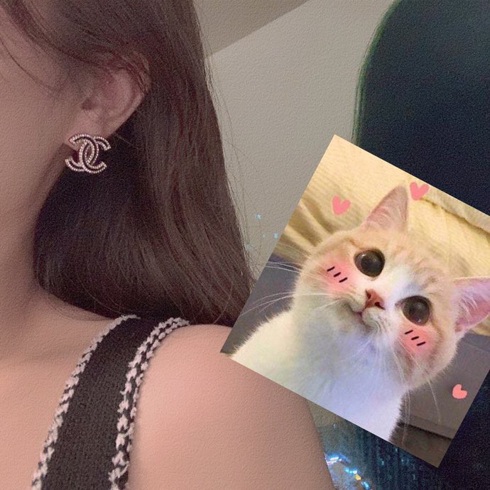 Chanel Earrings Silver L