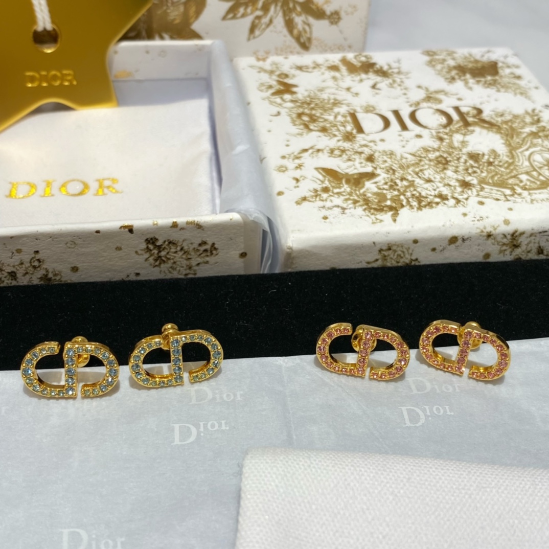 Dior Earrings Blue