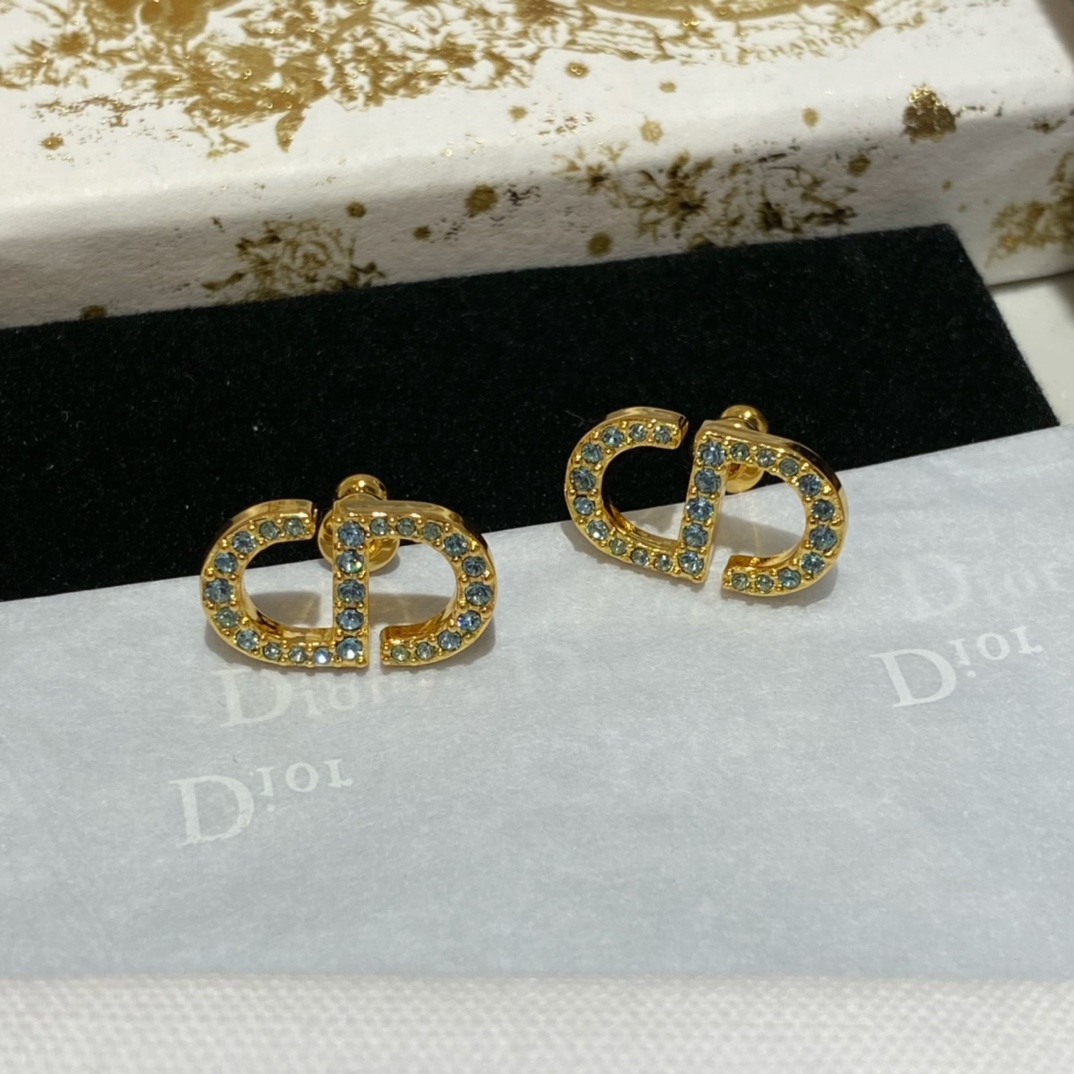 Dior Earrings Blue