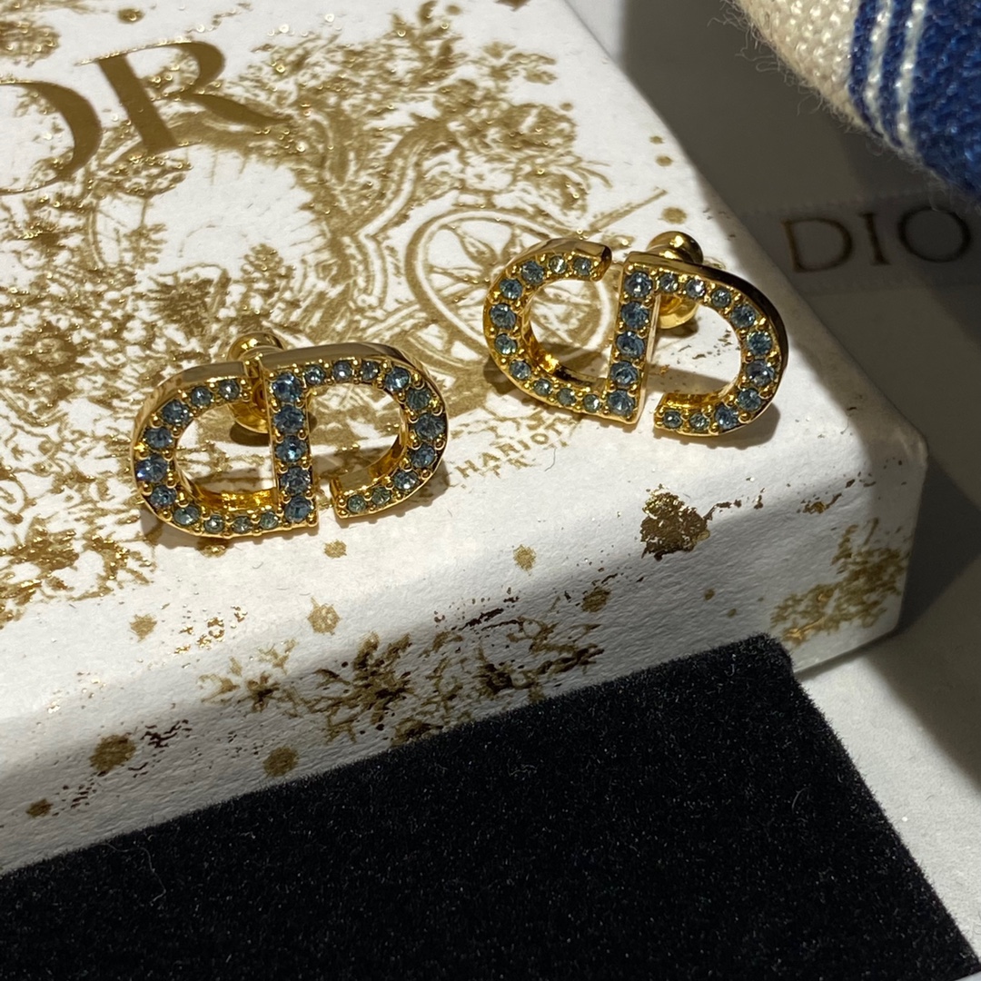 Dior Earrings Blue
