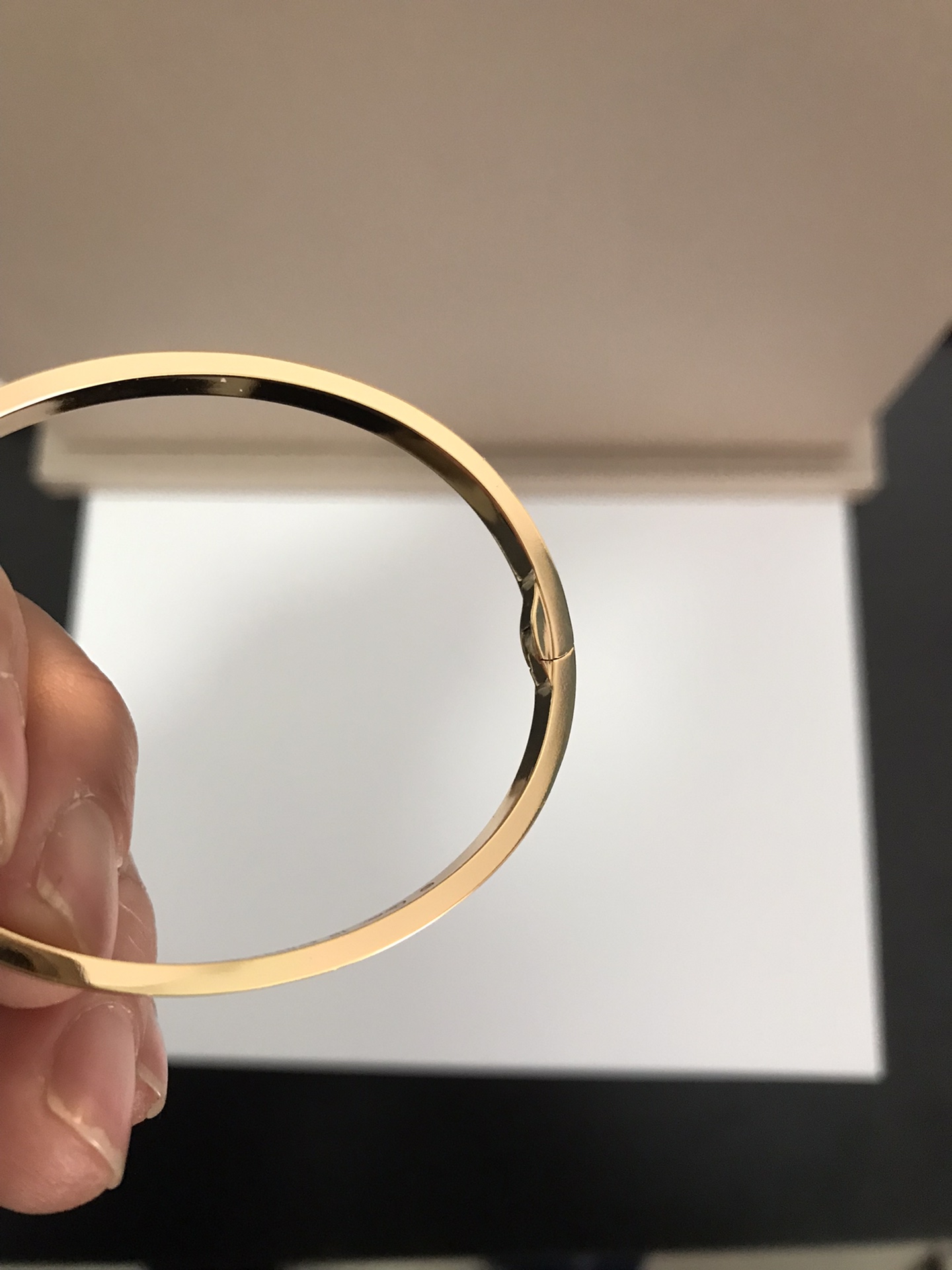 Cartier Bangle Inlaid L