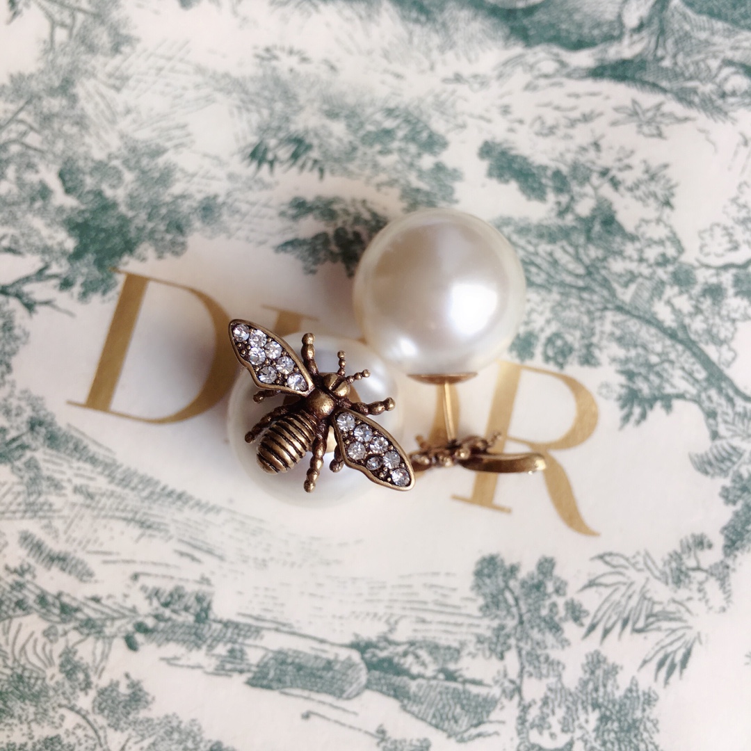 Dior Earrings Silver