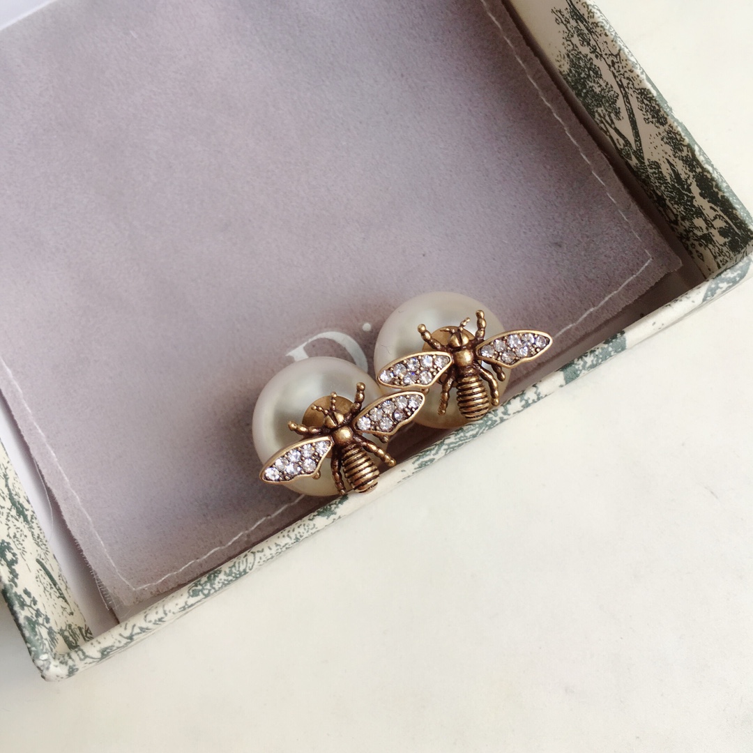 Dior Earrings Silver