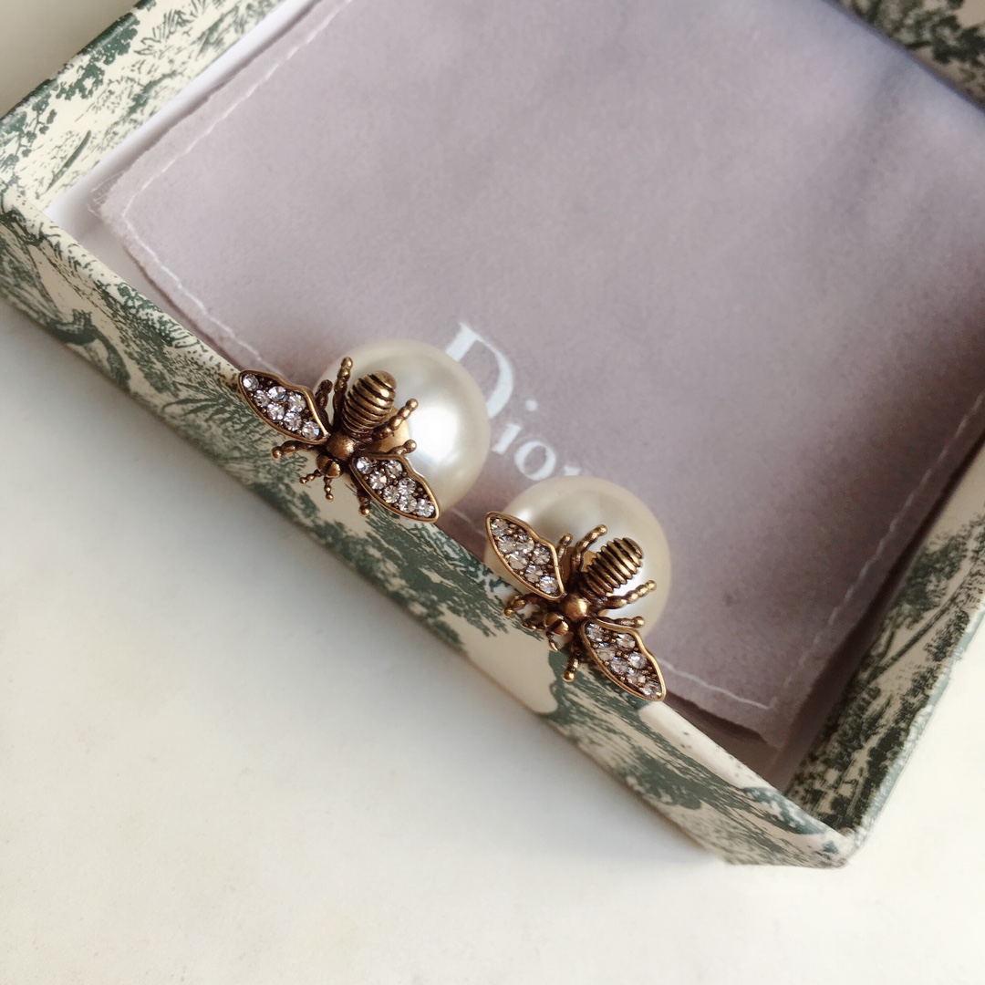 Dior Earrings Silver
