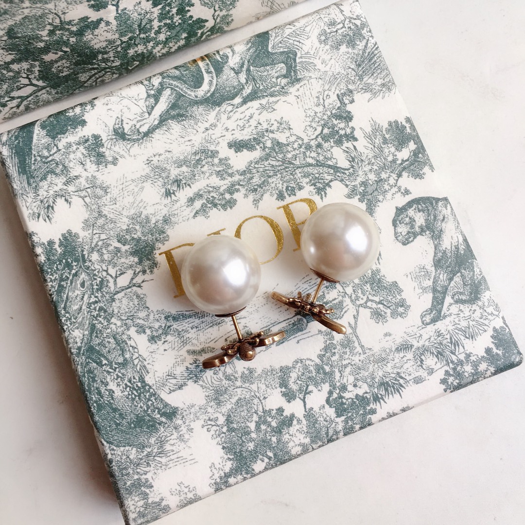 Dior Earrings Silver