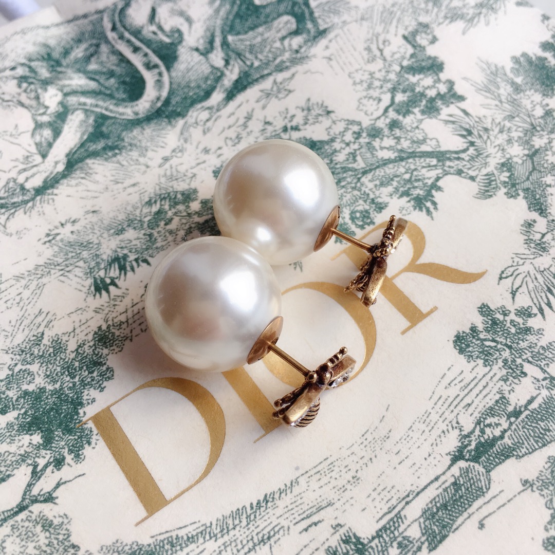 Dior Earrings Silver