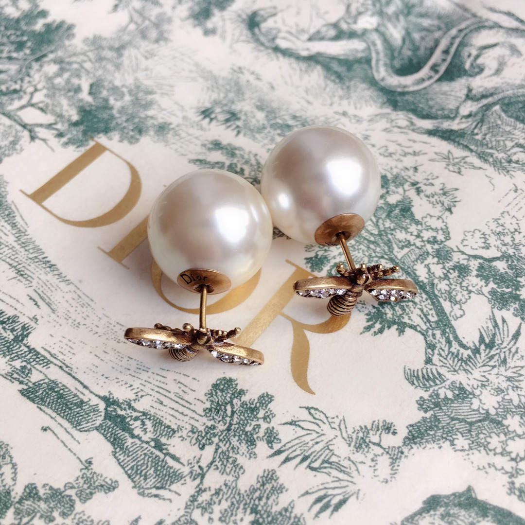 Dior Earrings Silver