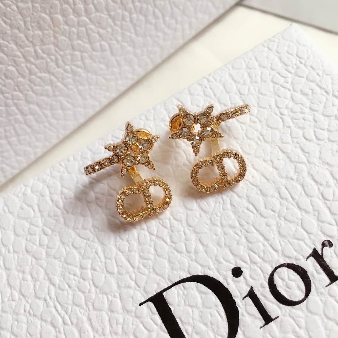 Dior Earrings Silver