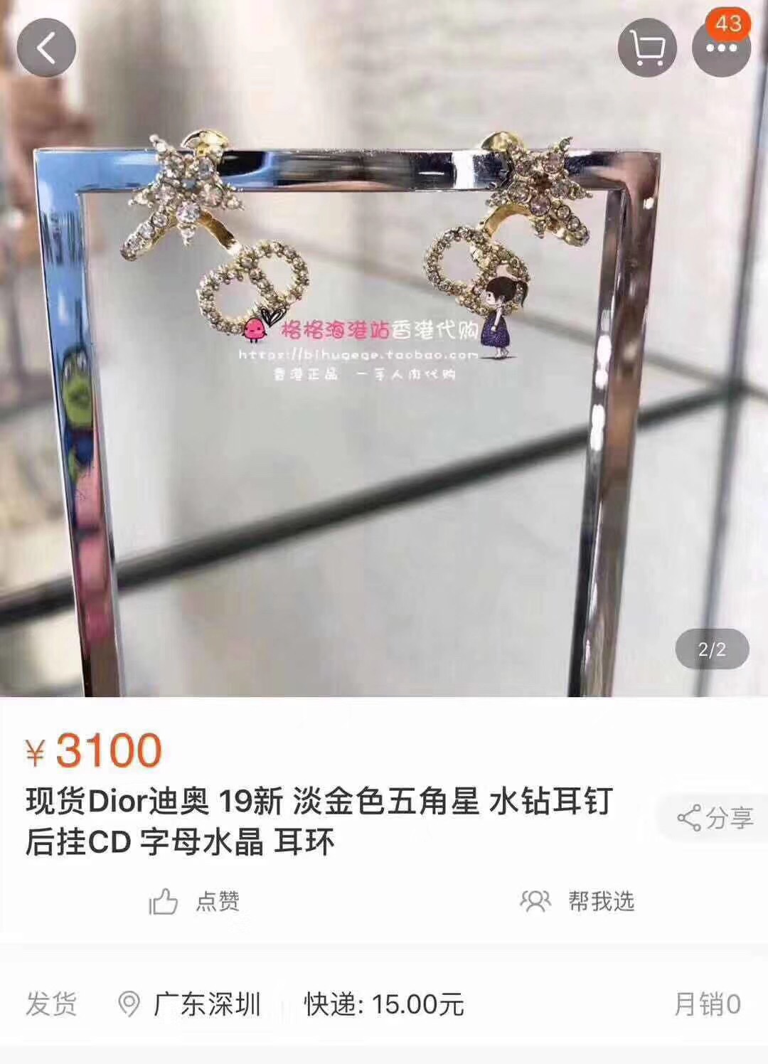 Dior Earrings Silver