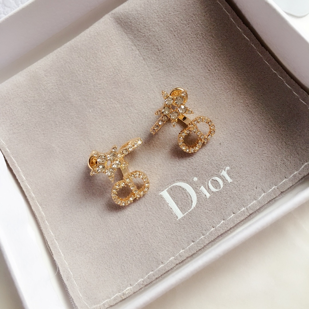 Dior Earrings Silver