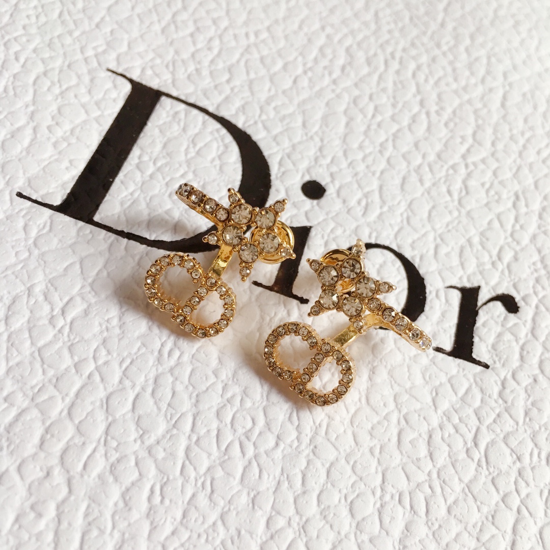 Dior Earrings Silver