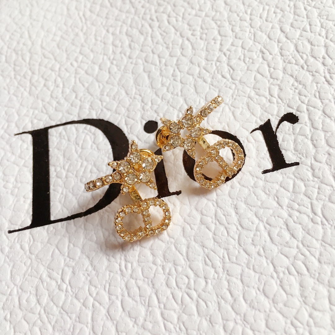 Dior Earrings Silver