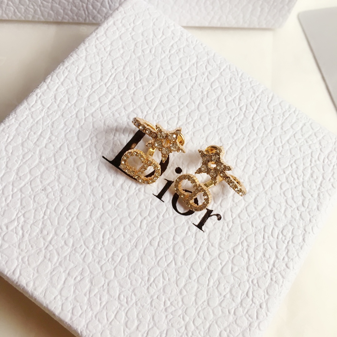 Dior Earrings Silver