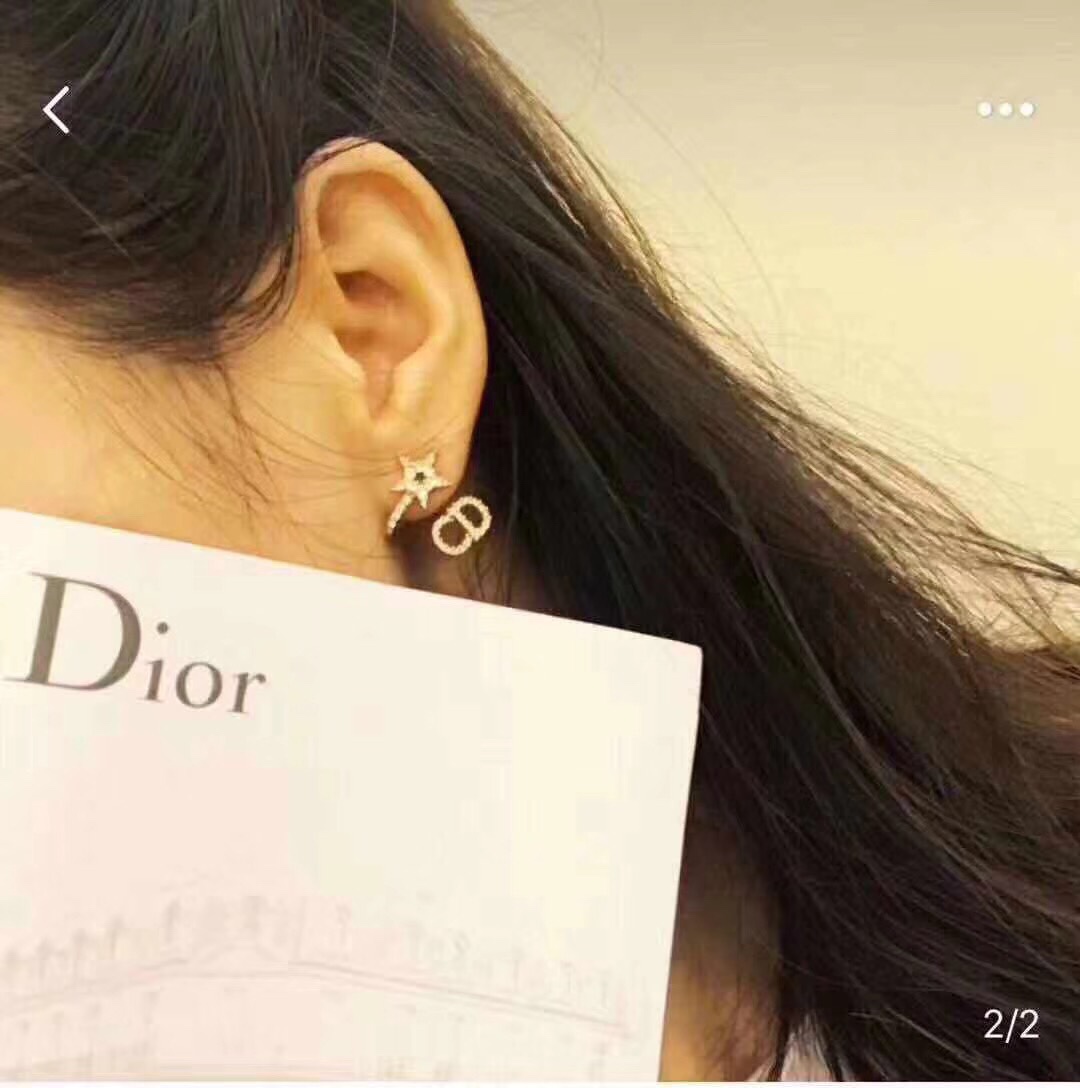 Dior Earrings Silver