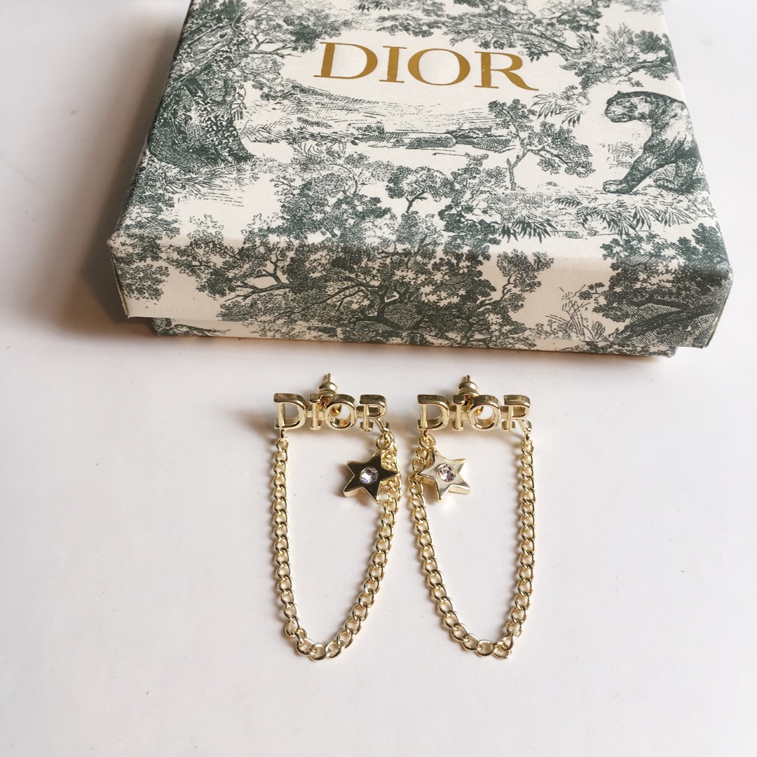 Dior Earrings Silver