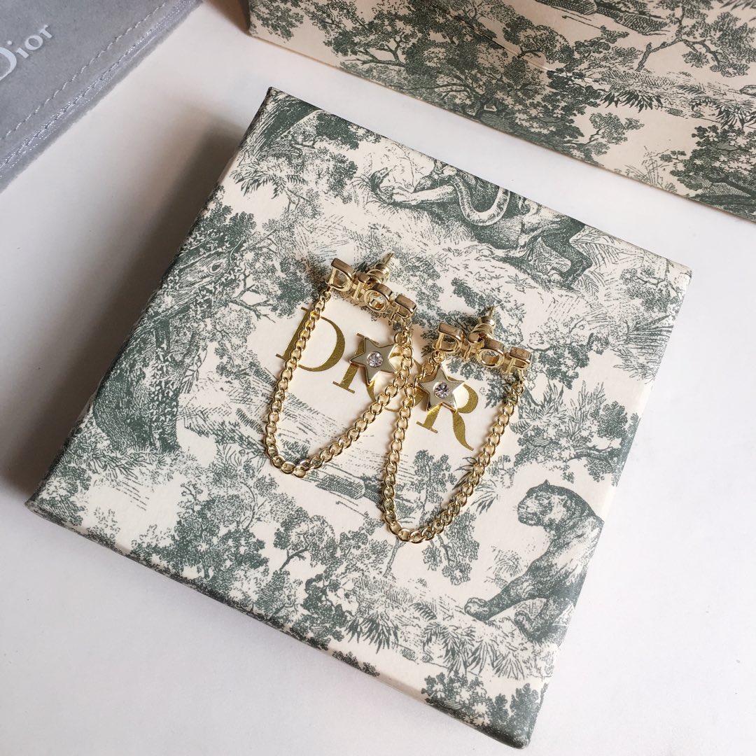 Dior Earrings Silver