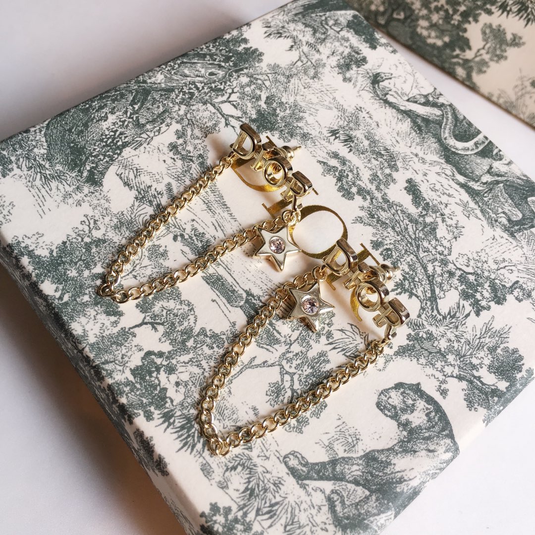 Dior Earrings Silver