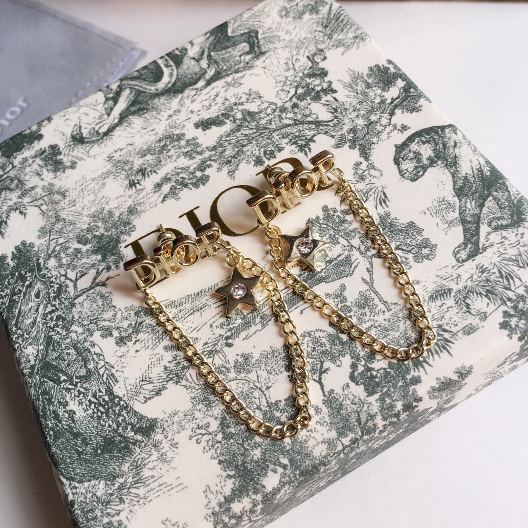 Dior Earrings Silver