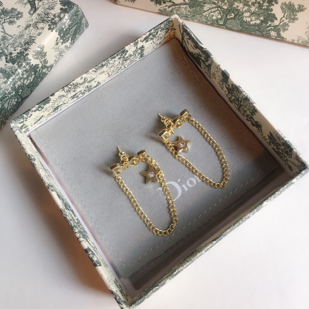 Dior Earrings Silver