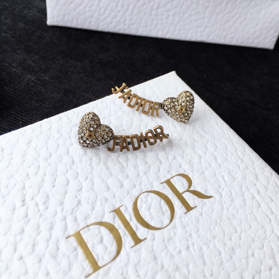 Dior Earrings Silver