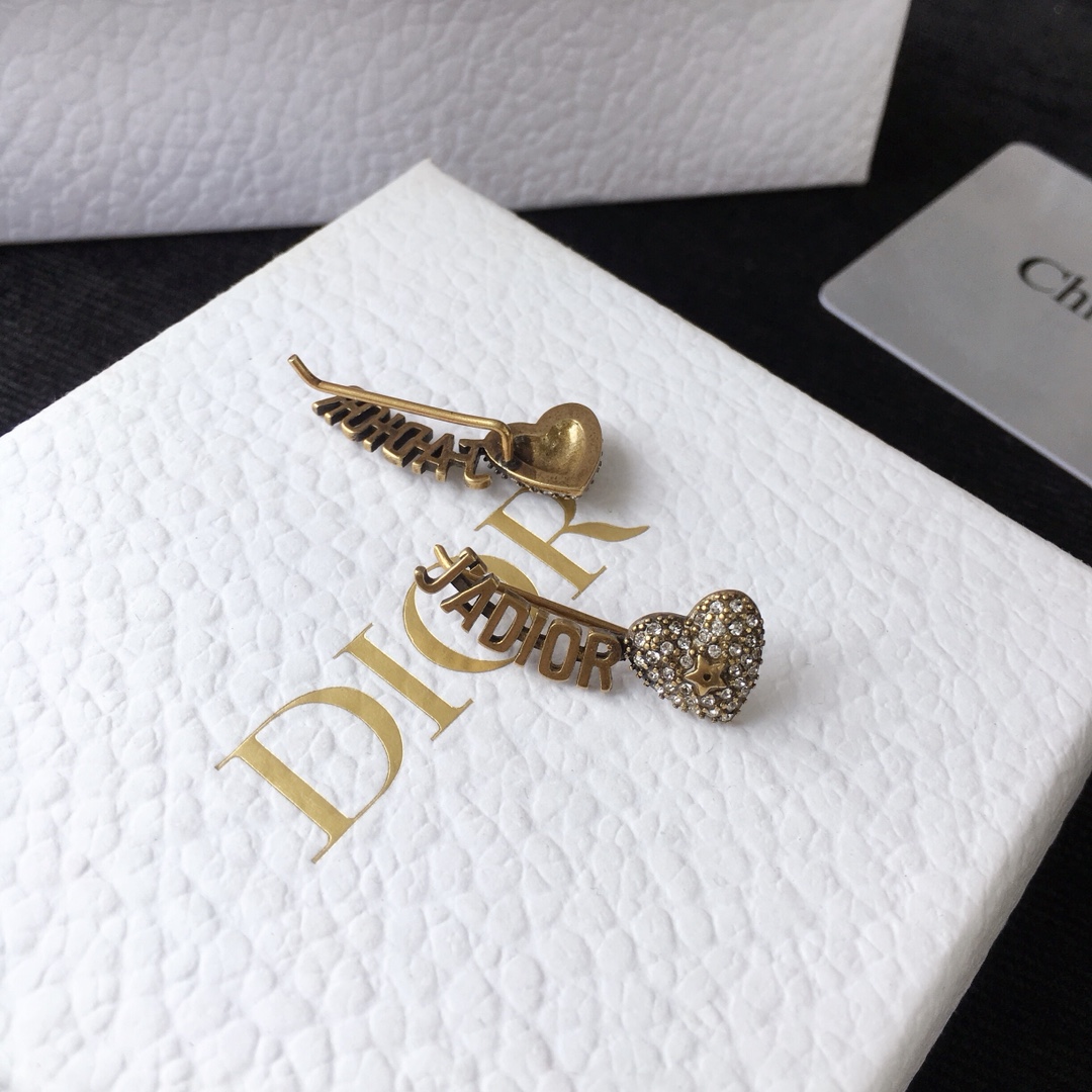 Dior Earrings Silver