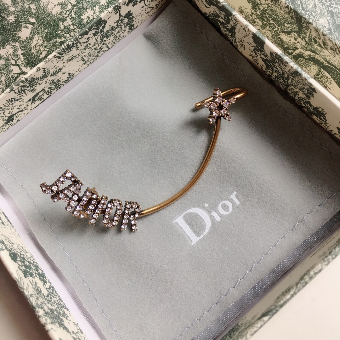 Dior Earrings Silver