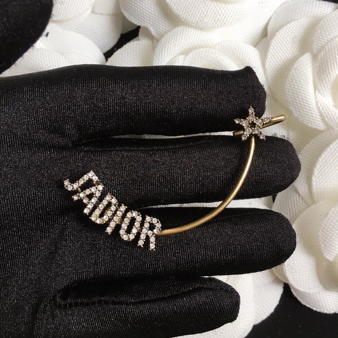 Dior Earrings Silver