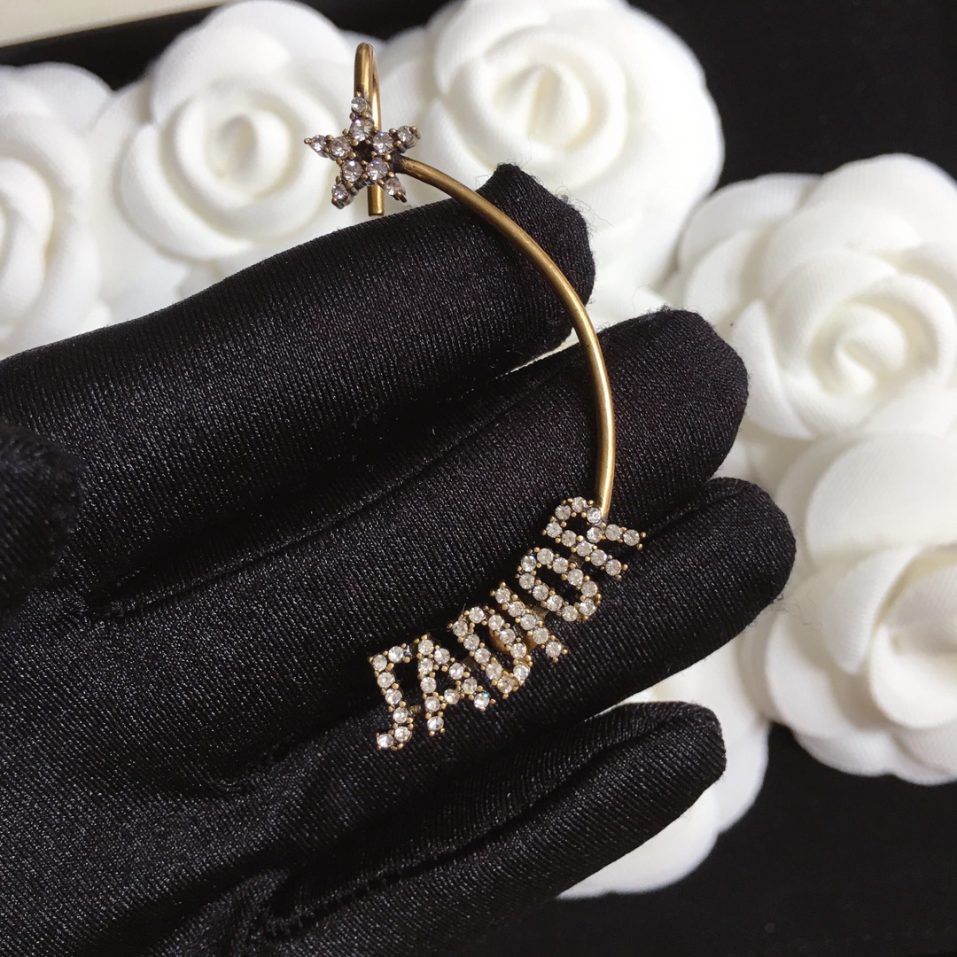 Dior Earrings Silver