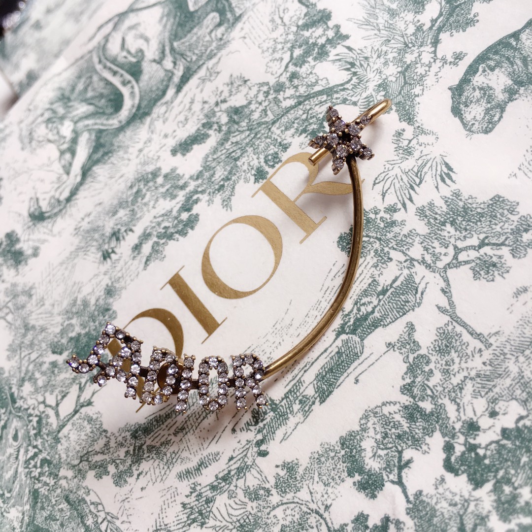 Dior Earrings Silver