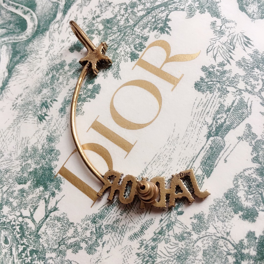 Dior Earrings Silver