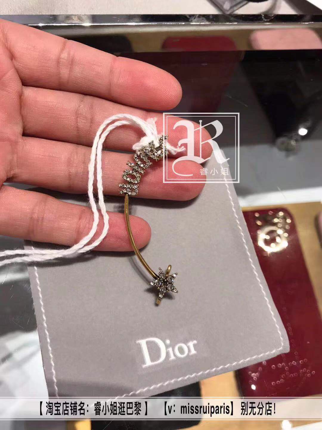 Dior Earrings Silver