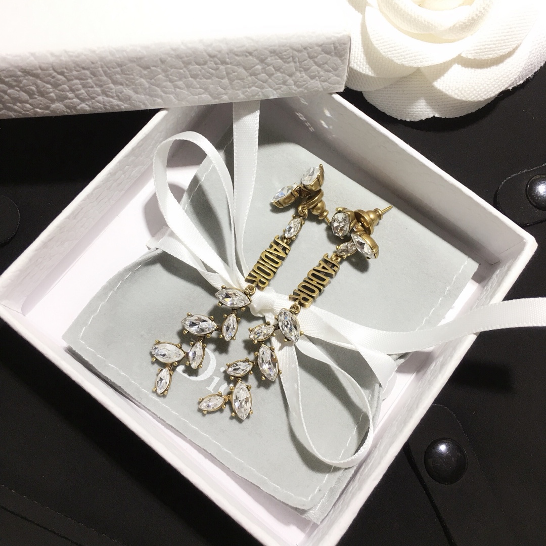 Dior Earrings Silver