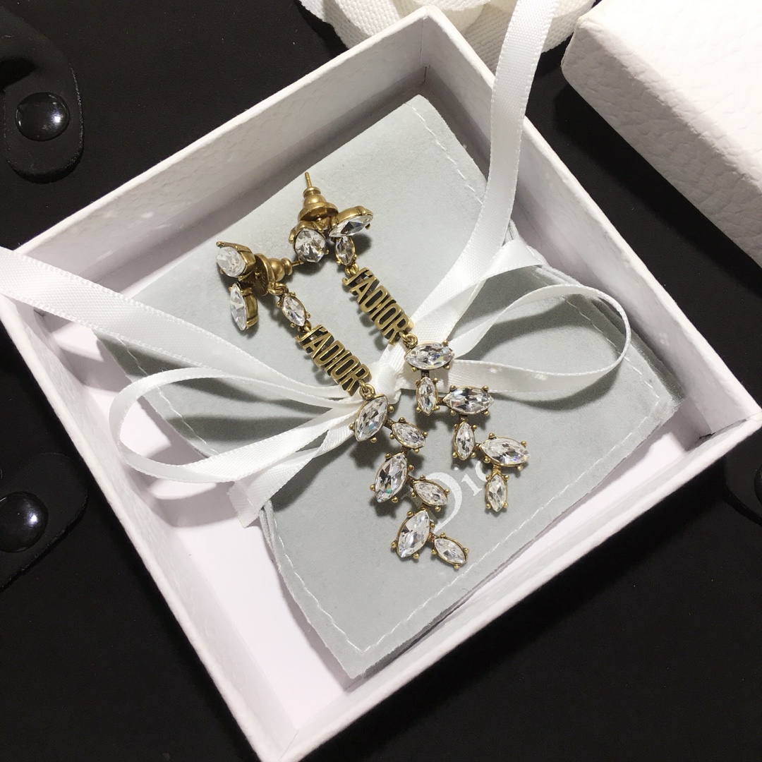 Dior Earrings Silver