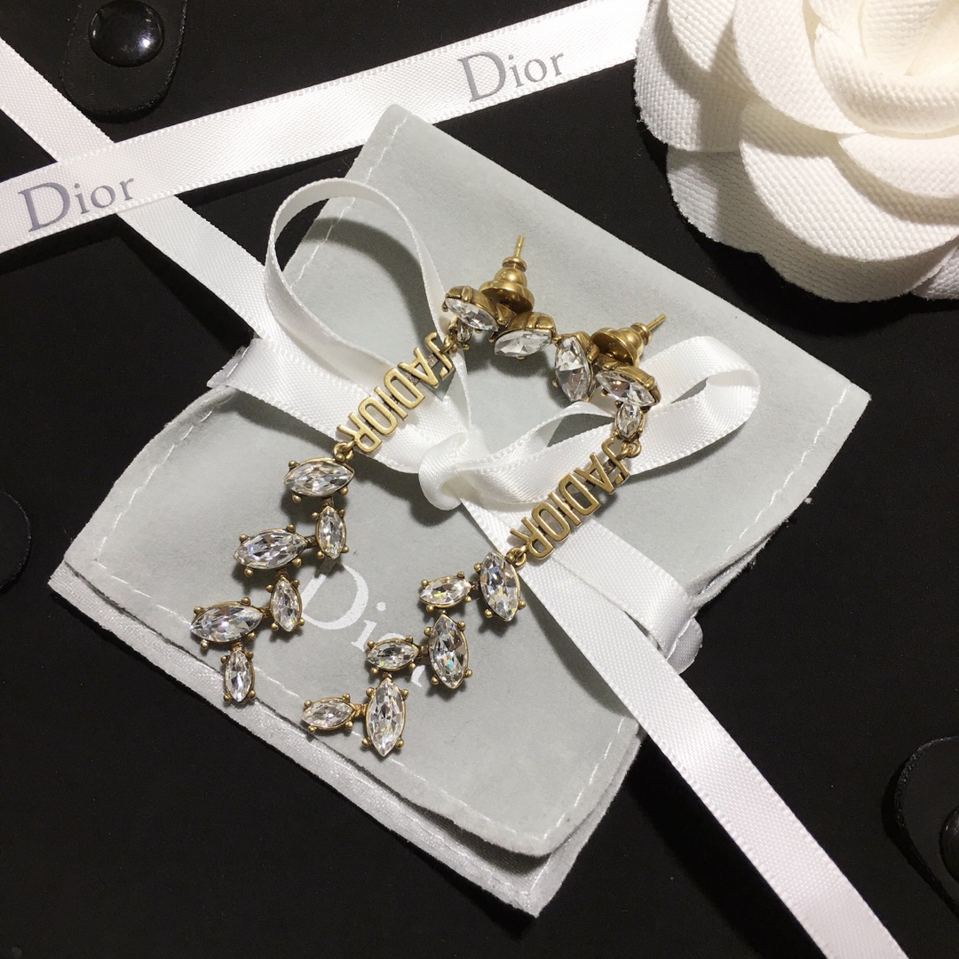 Dior Earrings Silver