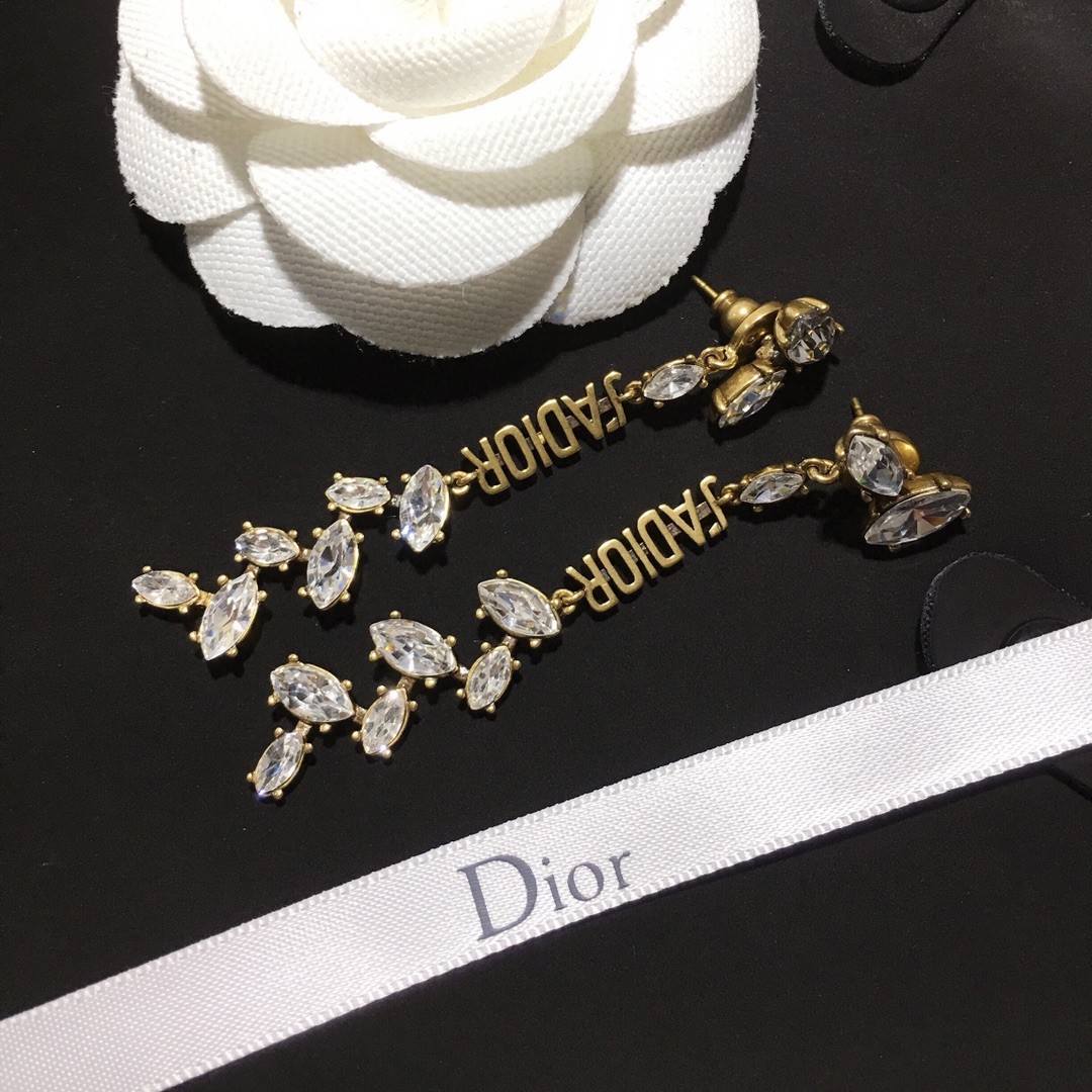 Dior Earrings Silver
