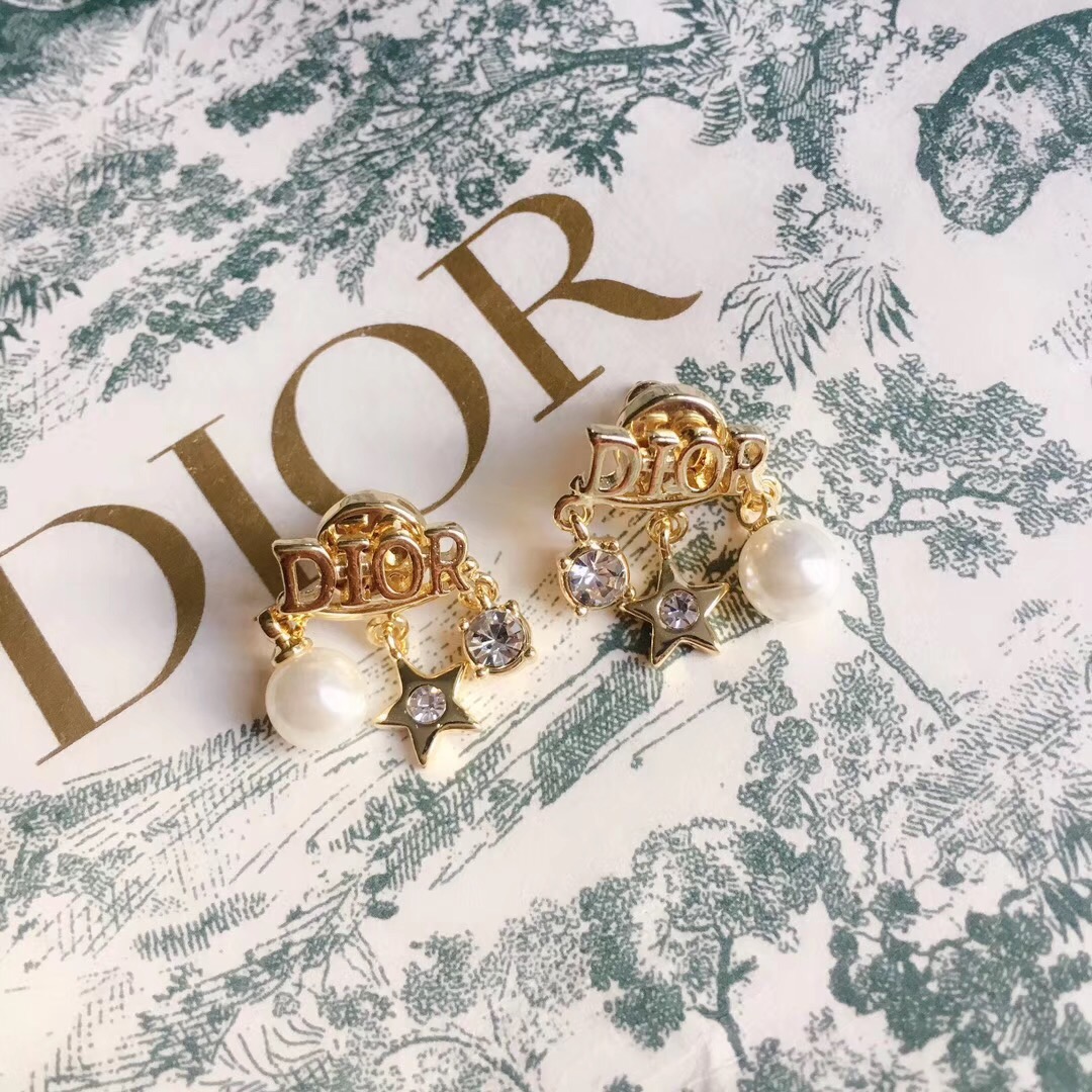 Dior Earrings Silver