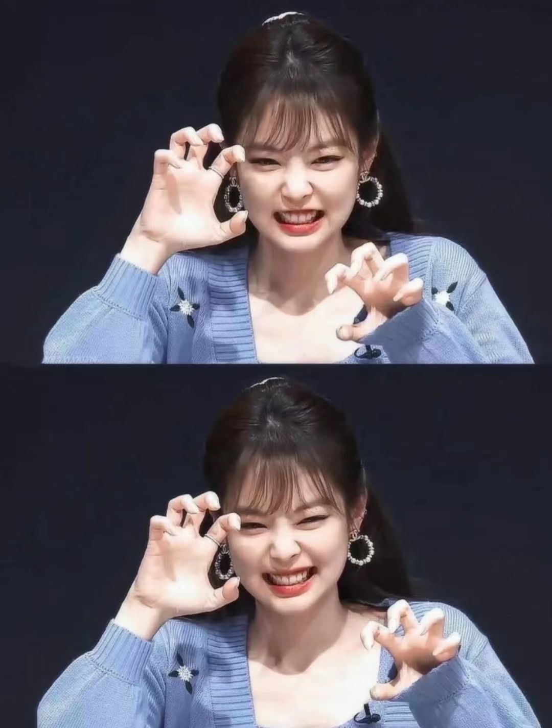 Chanel Earrings Silver